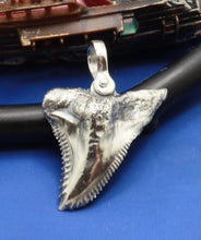 Load image into Gallery viewer, Large Solid .925 Sterling Silver Hemipristis Shark Tooth Pendant Nautical Jewelry by Crisol