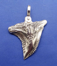 Load image into Gallery viewer, Medium Size Solid  Sterling Silver Hemipristis Shark Tooth Pendant Nautical Jewelry by Crisol