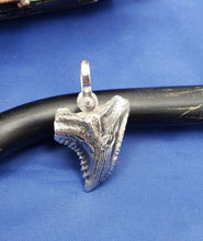 Load image into Gallery viewer, Small Size  Solid Sterling Silver Hemipristis Shark Tooth Pendant Nautical Jewelry by Crisol (Free Leather Cord Included)