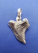 Load image into Gallery viewer, Small Size  Solid Sterling Silver Hemipristis Shark Tooth Pendant Nautical Jewelry by Crisol (Free Leather Cord Included)
