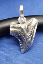 Load image into Gallery viewer, Small Size  Solid Sterling Silver Hemipristis Shark Tooth Pendant Nautical Jewelry by Crisol (Free Leather Cord Included)