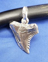 Load image into Gallery viewer, Small Size  Solid Sterling Silver Hemipristis Shark Tooth Pendant Nautical Jewelry by Crisol (Free Leather Cord Included)