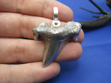 Load image into Gallery viewer, Large Solid .925 Sterling Silver Curved Spiked Shark Tooth Pendant Nautical Jewelry by Crisol (Free Leather Cord Included)