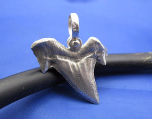 Large Solid .925 Sterling Silver Curved Spiked Shark Tooth Pendant Nautical Jewelry by Crisol (Free Leather Cord Included)
