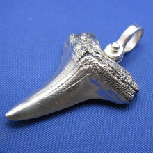 Load image into Gallery viewer, Sterling Silver Shark Tooth Pendant with Nautical Shackle Bail