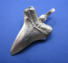 Load image into Gallery viewer, Sterling Silver Shark Tooth Pendant with Nautical Shackle Bail