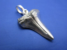 Load image into Gallery viewer, Sterling Silver Shark Tooth Pendant with Nautical Shackle Bail