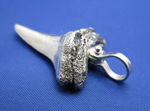 Load image into Gallery viewer, Sterling Silver Shark Tooth Pendant with Nautical Shackle Bail