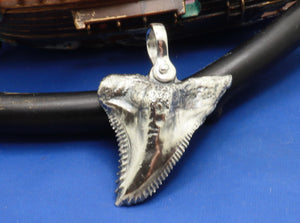 Large Solid .925 Sterling Silver Hemipristis Shark Tooth Pendant Nautical Jewelry by Crisol