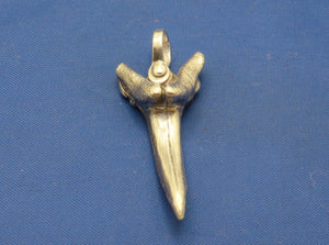 Solid  Sterling Silver Sand Tiger Shark Tooth Pendant Nautical Jewelry by Crisol