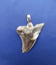 Load image into Gallery viewer, Large Solid .925 Sterling Silver Hemipristis Shark Tooth Pendant Nautical Jewelry by Crisol
