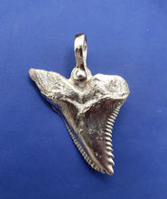 Load image into Gallery viewer, Large Solid .925 Sterling Silver Hemipristis Shark Tooth Pendant Nautical Jewelry by Crisol
