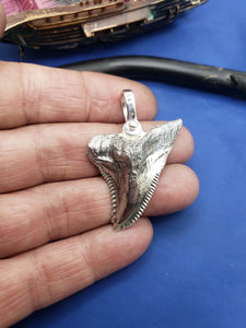 Large Solid .925 Sterling Silver Hemipristis Shark Tooth Pendant Nautical Jewelry by Crisol