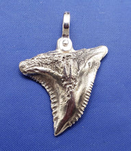 Load image into Gallery viewer, Medium Size Solid  Sterling Silver Hemipristis Shark Tooth Pendant Nautical Jewelry by Crisol
