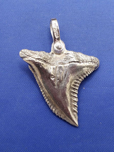 Medium Size Solid  Sterling Silver Hemipristis Shark Tooth Pendant Nautical Jewelry by Crisol