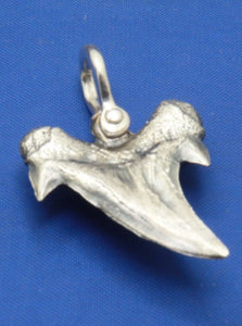Medium Solid .925 Sterling Silver Curved Spiked Arrowhead Shark Tooth Pendant Nautical Jewelry by Crisol