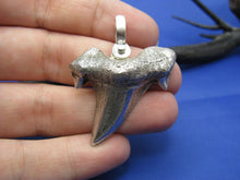 Load image into Gallery viewer, Large Solid .925 Sterling Silver Curved Spiked Shark Tooth Pendant Nautical Jewelry by Crisol (Free Leather Cord Included)
