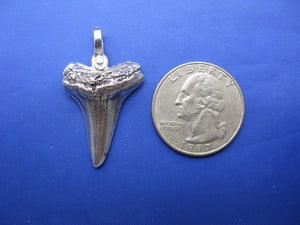Sterling Silver Shark Tooth Pendant with Nautical Shackle Bail